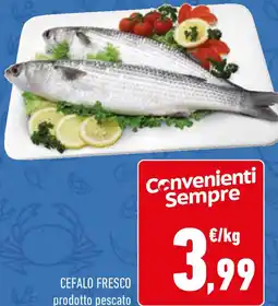 Conad Cefalo fresco offerta
