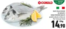 Conad Orate italia fresche conad percorso qualità offerta