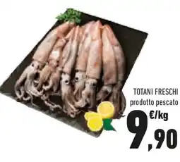 Conad Totani freschi offerta