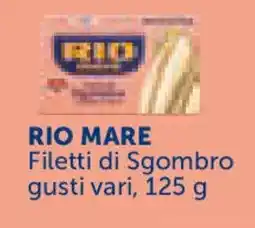 Conad Superstore RIO MARE Filetti di Sgombro offerta