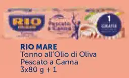 Conad Superstore RIO MARE Tonno all'Olio di Oliva Pescato a Canna offerta