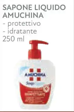 Conad Superstore Sapone liquido AMUCHINA offerta