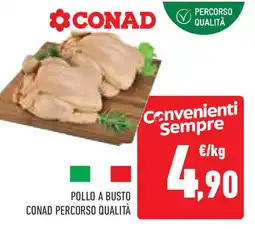 Conad Superstore Pollo a busto CONAD PERCORSO QUALITÀ offerta