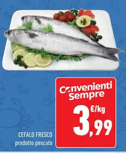 Conad Superstore Cefalo fresco offerta