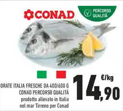 Conad Superstore Orate italia fresche CONAD PERCORSO QUALITÀ offerta