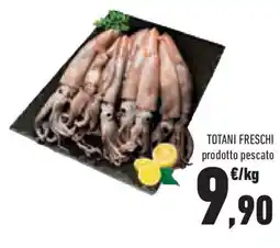 Conad Superstore Totani freschi offerta