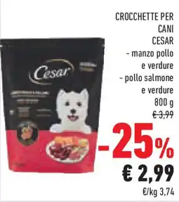 Conad Superstore Crocchette per cani CESAR offerta
