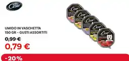 Max Factory Cesar umido in vaschetta offerta