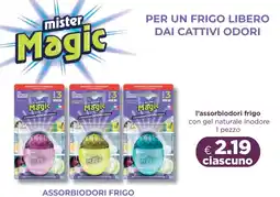Acqua & Sapone Mister magic l'assorbiodori frigo offerta