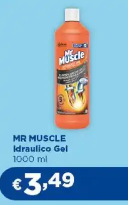 Acqua & Sapone MR MUSCLE Idraulico Gel offerta
