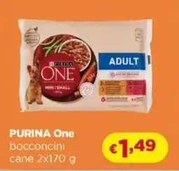 Acqua & Sapone PURINA One bocconcini cane offerta