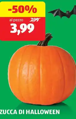 ALDI Zucca di halloween offerta