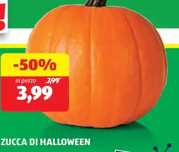 ALDI Zucca di halloween offerta