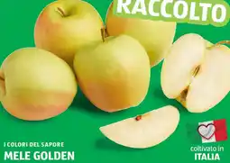ALDI I colori del sapore mele golden offerta