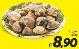 Iper Super Conveniente Lupini offerta