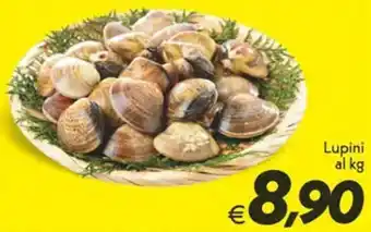 Iper Super Conveniente Lupini offerta