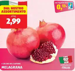ALDI I colori del sapore melagrana offerta