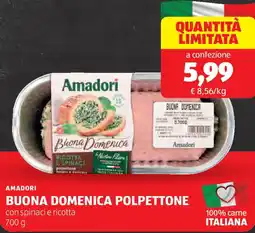 ALDI Amadori buona domenica polpettone offerta