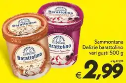 Iper Super Conveniente Sammontana Delizie barattolino offerta