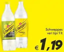 Iper Super Conveniente Schweppes offerta