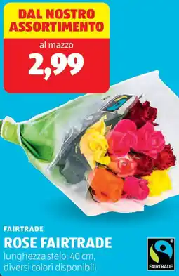 ALDI Fairtrade rose offerta