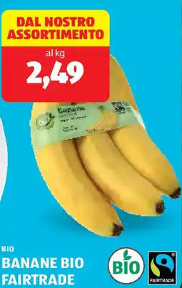 ALDI Banane bio fairtrade offerta