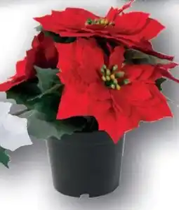 KiK Fiore artificiale stella di natale offerta