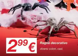 KiK Ragno decorativo offerta