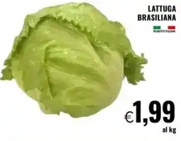 Famila Lattuga brasiliana offerta