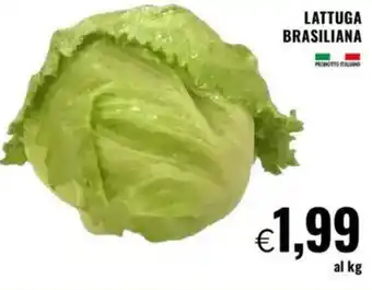 Famila Lattuga brasiliana offerta