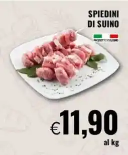 Famila Spiedini di suino offerta