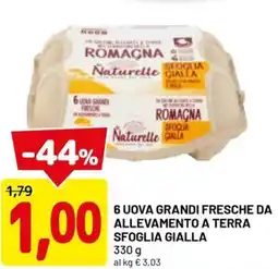 DPiù 6 uova grandi fresche da allevamento a terra sfoglia gialla offerta