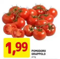 DPiù Pomodoro grappolo offerta
