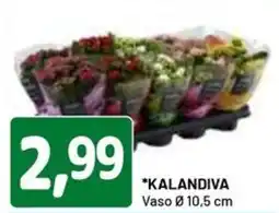 DPiù Kalandiva vaso ø10,5 cm offerta