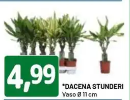 DPiù Dacena stunderi vaso Ø 11 cm offerta