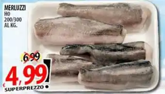 Il Genio Supermercato MERLUZZI HO 200/300 offerta