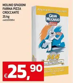 C+C maxigross Molino spadoni farina pizza croccante offerta
