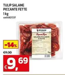 C+C maxigross Tulip salame piccante fette offerta