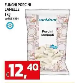 C+C maxigross Funghi porcini lamelle offerta