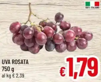 A&O Uva rosata offerta