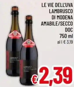 A&O Le vie dell'uva lambrusco di modena amabile/secco doc offerta