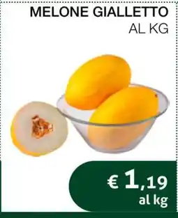 Coop Melone gialletto offerta