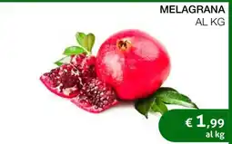 Coop Melagrana offerta