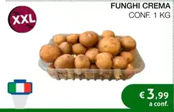Coop FUNGHI CREMA offerta