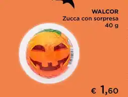 Coop WALCOR Zucca con sorpresa offerta