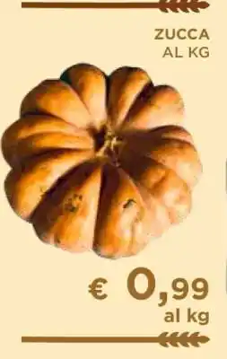 Coop ZUCCA AL KG offerta