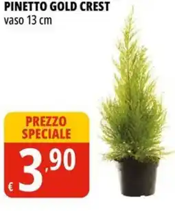 Tigros Pinetto gold crest vaso 13 cm offerta