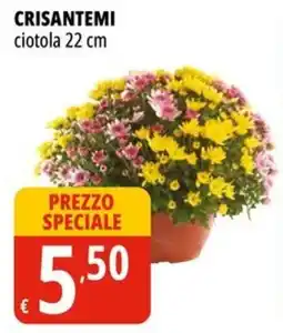 Tigros Crisantemi ciotola 22 cm offerta