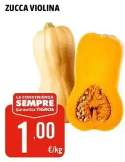 Tigros Zucca violina offerta