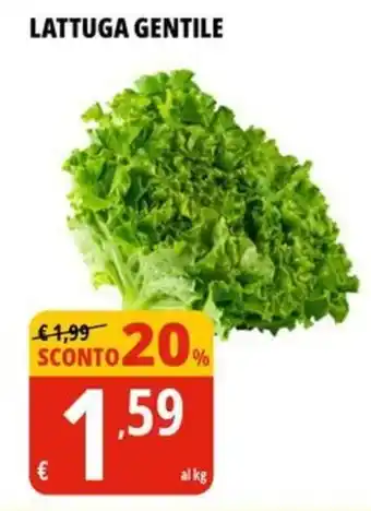 Tigros Lattuga gentile offerta